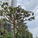 센트럴명품자이(단지내)공인중개사사무소 이미지