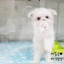 개맑음 이미지