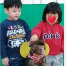 보보스헤어 이미지