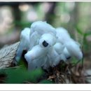 수정초등학교 사거리 이미지