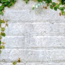 컬러나인한의원 이미지