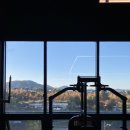 생활체육공원로 이미지