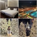 (12/17)크리스마스 미니트리 | 부산 기장 아난티코브 숙소 수영장 크리스마스 트리 후기 최저가 링크