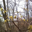 쪽갈비찌개 이미지