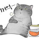 토담가마솥소고기국밥 이미지