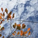 세존 - 달서구 성당로 125 | 세존