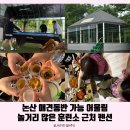 논산 소풍 가기 좋은 애견동반 펜션! 어울림