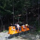 행복숲체험원오토캠핑장 이미지