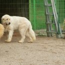 호텔 렉시 이미지