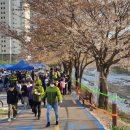 양평-용문-용문-2 이미지