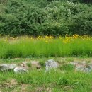 한화행정사사무소 이미지