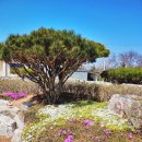 마호네펜션 이미지