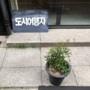 백가닥파스타 이미지
