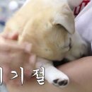 하루 이미지