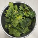 31140-8-28-1 | AMT 스텐 냄비 28cm 파티웍 – 2인 가구, 손 큰 사람 현실 후기