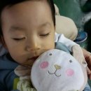 대청태권도아카데미 이미지