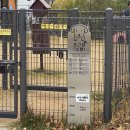 강아지테마미용실 이미지