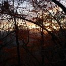 산골백두 이미지