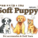 w소프트 이미지