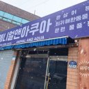 애니멀앤아쿠아 이미지