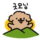 쏘쿨이네캠핑장 이미지