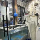 횟집아저씨 이미지