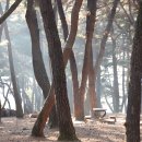 대지(大地)의 꿈 | 수운교 水雲敎