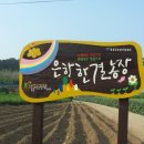 한결장터 네이버블로그