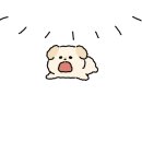 시스페어리 이미지