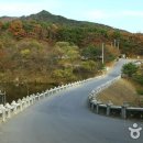논골농장 이미지