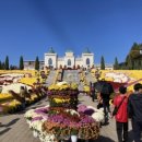 임실꽃화원 이미지