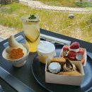 일광목장 | 부산 기장 일광 대형카페 베이커리가 맛있는 칠암사계