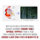 눈플러스안경원 네이버블로그