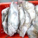 오늘은 찜&탕 이미지