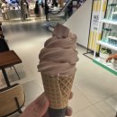 상하실내체육관 이미지