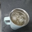 라임 | 골프 라운딩 후 쟁여두는 이디야 콤부차 추천, 프로바이오틱스 저당 레몬라임 후기