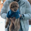 바우하우스 105 | [강원도 홍천 애견 독채 펜션] 바우하우스105 후기 Part.2 (ft. A동)