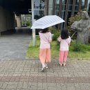 해원 | [제주여행] 제주 마지막 날 / 함덕해수욕장 / 카페델문도 / 함덕뚝배기 / 해원횟집