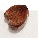 지유환경