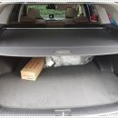 신월스피드메이트 이미지