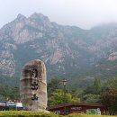 나산센터-5 이미지