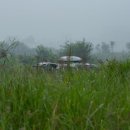 신두리세븐패밀리캠핑장 이미지