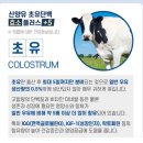 일동목장 이미지