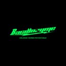 바실로자임(Bacillozyme)