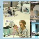 쁘띠메종 이미지