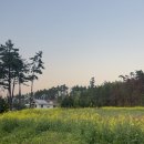 초록언덕펜션 이미지