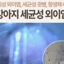 애니컴 메디컬센터 이미지