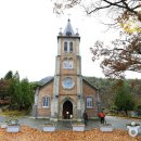 설피한우 Daum카페