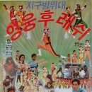 비디오나라