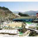 영산약품 이미지